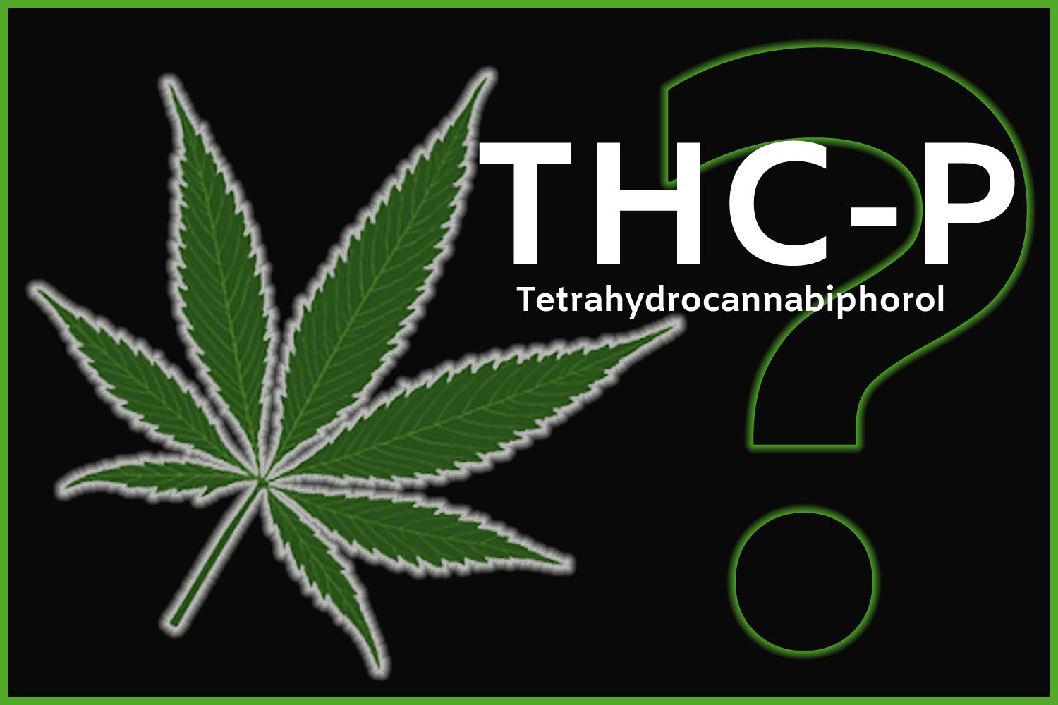 What is THC-P: The Complete Guide? Full Benefits & Side Effects