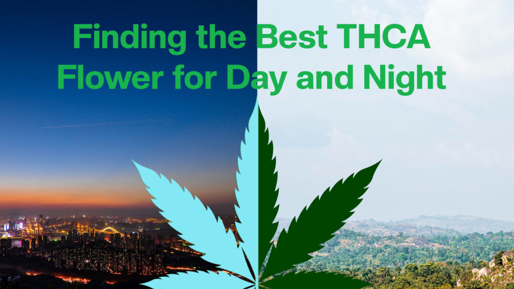 Finding the Best THCA Flower for Day and Night