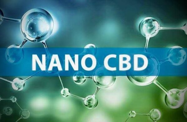 Navigating Nano CBD: Understanding its Mechanisms and Benefits