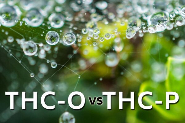 THC-O vs THC-P: Benefits, Differences, & Effects
